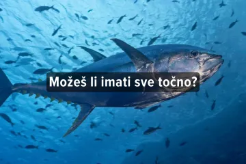 [KVIZ] Može&scaron; li prepoznati ove morske ribe?