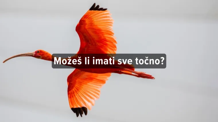 [KVIZ] Koliko znaš o pticama selicama?
