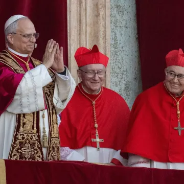 Naslov članka - Radi li sve u SE