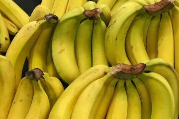 Posljedice katastrofe koja nas polako 'ubija':  Banane su na rubu izumiranja?