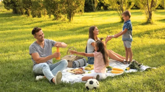 &Scaron;to je sve potrebno za savr&scaron;en piknik? Evo &scaron;to ponijeti, &scaron;to raditi i koje mjesto odabrati