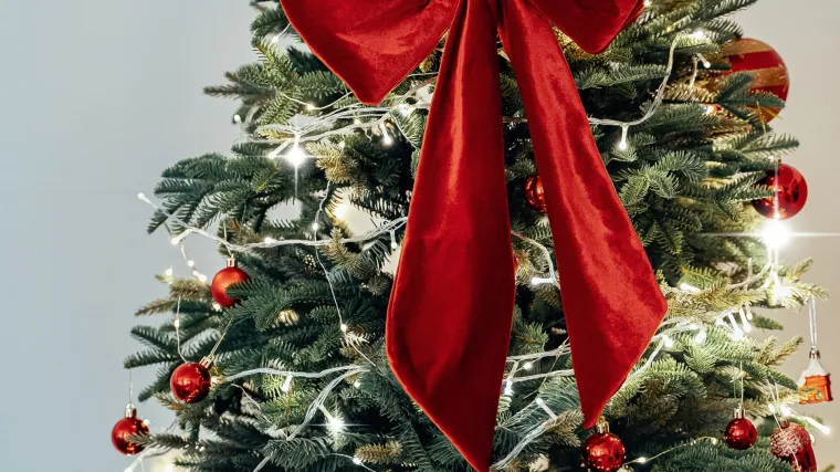 Božićna čarolija 2025: Ovako će izgledati najljepše okićeni borovi