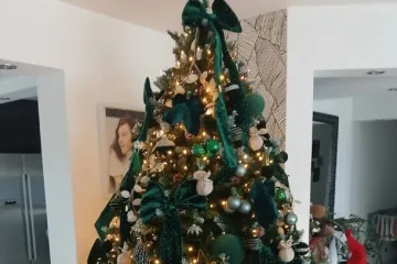 Zaboravite zvijezde na vrhu drvca: Evo kakve su ukrase odabrale na&scaron;e čitateljice