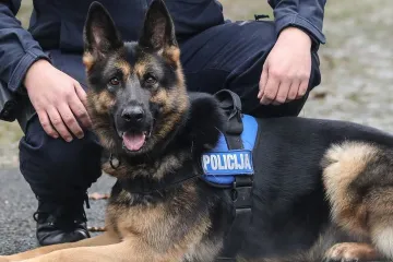Policijski pas državi u par minuta zaradio dvije tisuće eura