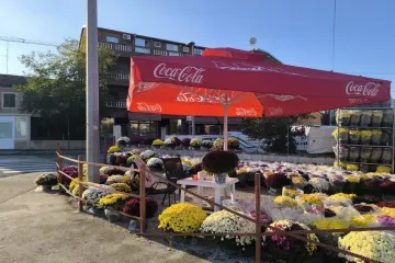 Uoči Sisveta – cijene svugdje slične, ali negdje su krizanteme raskošnije