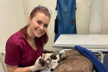 Vinka Holjevac iz Podturna: Slučajan izbor postao je njezin životni poziv