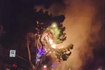 Zapalilo se stablo u blizini igrali&scaron;ta u Ulici Andrije Hebranga (VIDEO)