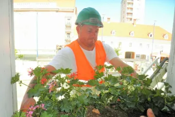 Zelenilo iz Karlovca poziva građane da cvijećem uljep&scaron;aju sredi&scaron;te: Evo tko se može javiti!