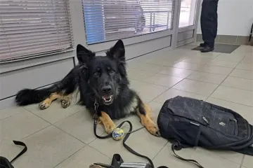 Kako je službeni pas na GP Erdut državi u zaradio 4.000 eura