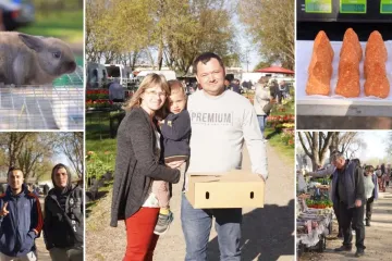 Slatki sir i hajdina ka&scaron;a iz Ivanovca za 5 eura, sadnice jagoda po euro i pol