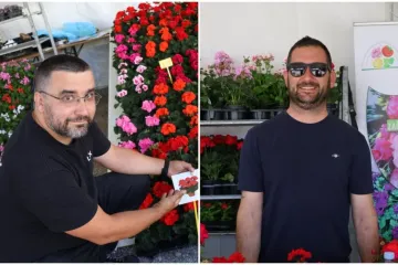 Dok se gazdarice brinu o prinovama, supruzi pomažu s prodajom cvijeća