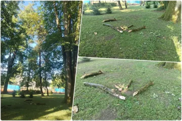&Scaron;etnja Vrbanićevim perivojem može biti i opasna &ndash; Odlomila se velika grana i pala na tlo