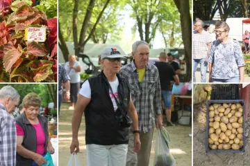 Kakav dan &ndash; prona&scaron;li smo zebru, zmajevo krilo i pijetlovu krijestu!