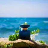 Od skin scent do osvježavajućih nota: Kakve ćemo parfeme nositi ovog ljeta?