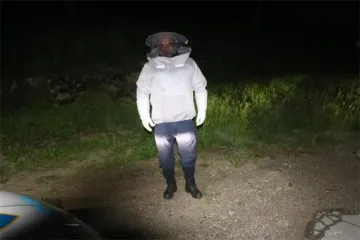 Policajci kod Vrbovskog morali obući pčelarska odijela: Po cesti se rasule ko&scaron;nice s pčelama