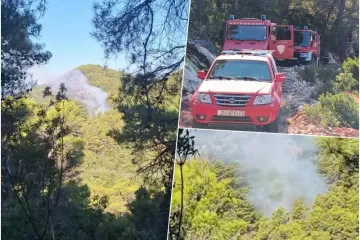 Dva požara izbila jutros na Mljetu, vatrogasci spriječili njihovo &scaron;irenje