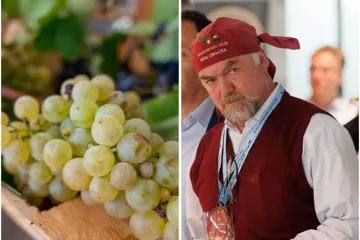 Krupa pogodila Ravne kotare, Bobanović: 'Nećemo plakati, idemo dalje u dobru berbu'
