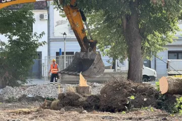 Bageri stigli na Trg, započelo je uklanjanje lipa: 'Bolesne su, samo jednu ćemo preseliti u Zelenilo'