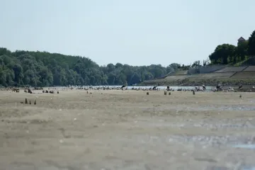 Zbog niskog vodostaja mnogi hodaju po koritu Drave, stručnjaci obja&scaron;njavaju za&scaron;to to nije dobra ideja