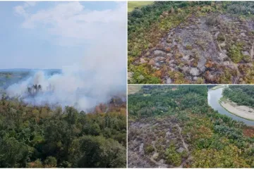 GORNJI HRA&Scaron;ĆAN Požar nekoliko tona smeća pro&scaron;irio se na raslinje i visoku &scaron;umu