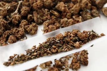 U Zadru uhićen 26-godi&scaron;nji Makedonac: Policija mu prona&scaron;la kokain i marihuanu