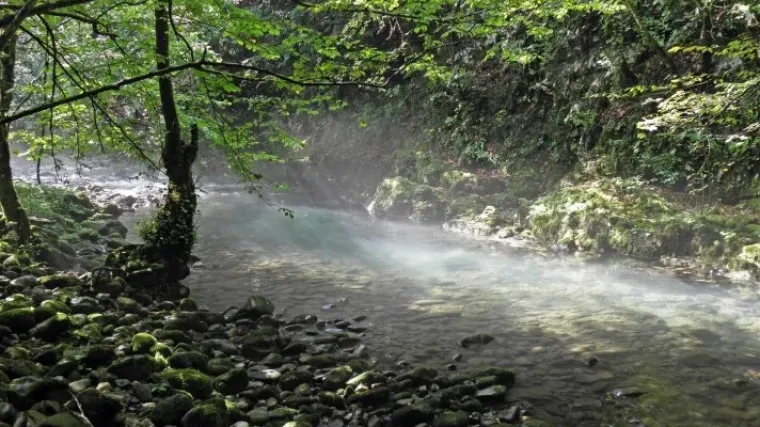 Zeleni vir i Vražji prolaz: Vodič za nezaboravan izlet u srce Gorskog kotara
