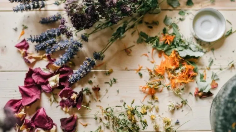 Od lavande do aloe vere: Najbolji prirodni saveznici za ljetnu njegu kože