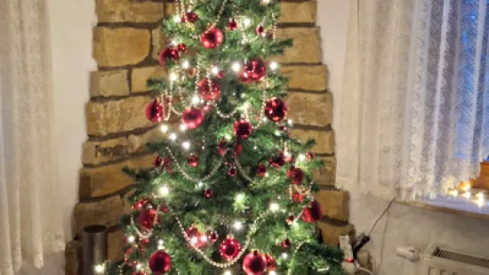 Zavirili smo u domove na&scaron;ih čitateljica: Pogledajte fotografije čarobnih božićnih jelki