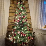 Zavirili smo u domove na&scaron;ih čitateljica: Pogledajte fotografije čarobnih božićnih jelki