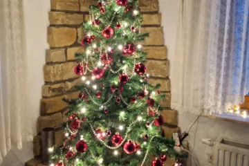 Zavirili smo u domove na&scaron;ih čitateljica: Pogledajte fotografije čarobnih božićnih jelki