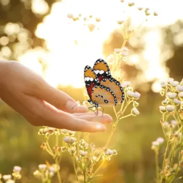 Retrogradni planeti nisu kazna: &Scaron;to tvoja natalna karta govori o unutarnjoj snazi