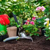 Priprema vrta i balkona za proljeće: Vodič za poslove u veljači