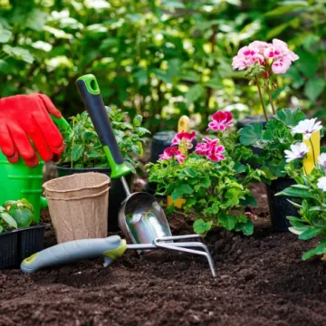 Priprema vrta i balkona za proljeće: Vodič za poslove u veljači