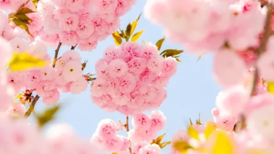 Veliki mjesečni horoskop za ožujak: Vrijeme je za velike odluke i novi početak