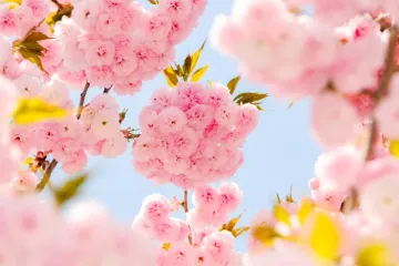 Veliki mjesečni horoskop za ožujak: Vrijeme je za velike odluke i novi početak