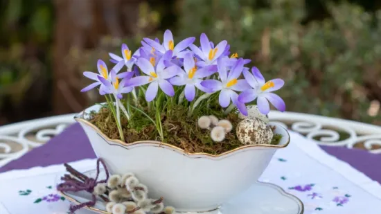 Horoskop za ponedjeljak: Strijelci uzmite sve &scaron;to možete, jarčevi slu&scaron;ajte &scaron;efove
