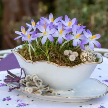 Horoskop za ponedjeljak: Strijelci uzmite sve &scaron;to možete, jarčevi slu&scaron;ajte &scaron;efove