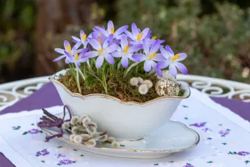 Horoskop za ponedjeljak: Strijelci uzmite sve &scaron;to možete, jarčevi slu&scaron;ajte &scaron;efove