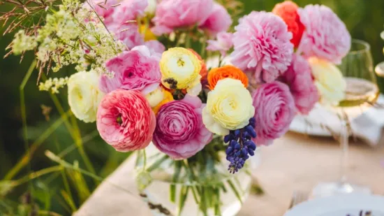 Ranunkule - proljetna ljepotica slojevitih latica