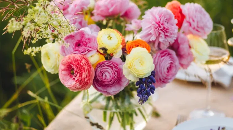 Ranunkule - proljetna ljepotica slojevitih latica