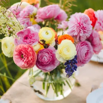 Ranunkule - proljetna ljepotica slojevitih latica