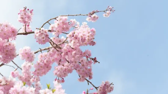 Horoskop za četvrtak: Bikovi pucaju od nervoze zbog &scaron;efova, djevice imaju tro&scaron;kove