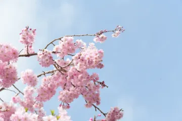 Horoskop za četvrtak: Bikovi pucaju od nervoze zbog &scaron;efova, djevice imaju tro&scaron;kove