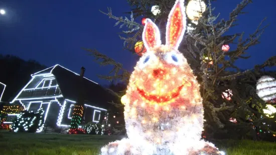 Uskrsna čarolija svjetla u obitelji Salaj donosi ugođaj s 60.000 pisanica - Žena.hr