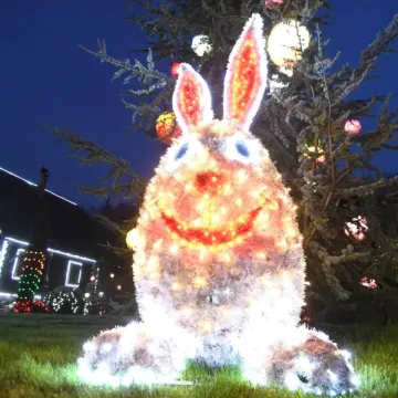 Uskrsna čarolija svjetla u obitelji Salaj donosi ugođaj s 60.000 pisanica - Žena.hr