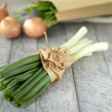 Mladi luk glavni je lik uskrsnog stola: Ideje za ukusna proljetna jela