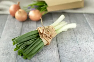 Mladi luk glavni je lik uskrsnog stola: Ideje za ukusna proljetna jela