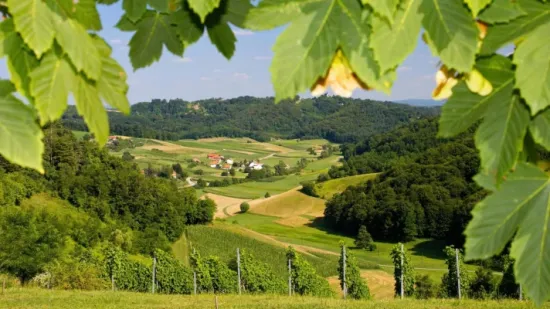 Kamo za Prvi maj ako vam se ne kuha? Ova mjesta nude odličnu hranu