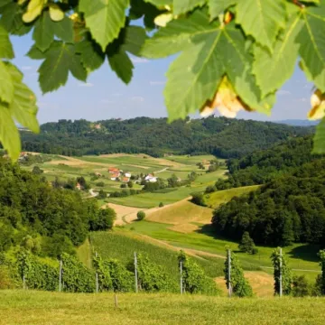 Kamo za Prvi maj ako vam se ne kuha? Ova mjesta nude odličnu hranu