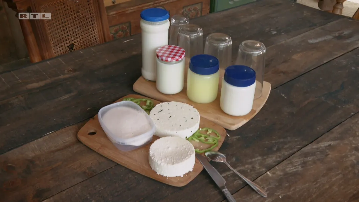 Tjedan pun tradicije i mirisa: Kako je prošao istarski zadatak?